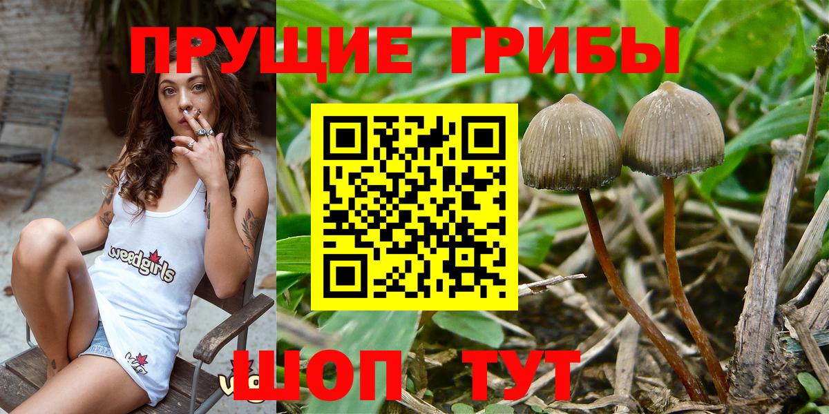Галлюциногенные грибы Cubensis Феодосия