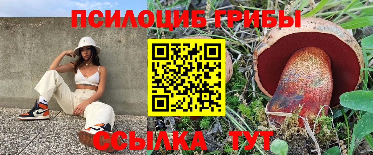 Феодосия  Галлюциногенные грибы Psilocybine cubensis  Вход с VPN 